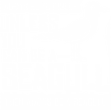 Discover Seagull Seabird Gift Sea Gull Bird T-shirt
