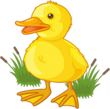 Discover Baby Duckling Cartoon Duck Cute Bird Lover Farm T-shirt