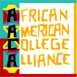 Discover African American College Alliance T Shirt