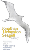 Discover Jonathan Livingston Seagull - Seagull - T-Shirt