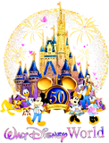 Discover 50th Anniversary Walt Disney World Zip Hoodie