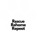 Discover Rescue Rehome Repeat Merch - Rescue Dogs - T-Shirt