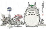 Discover Totoro Shirt, Studio Ghibli, Anime Totoro Shirt