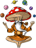 Discover Magic Mushroom Buddha Classic T-Shirt