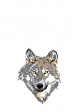 Discover This is My Human Costume I'm Really a Wolf T Shirt