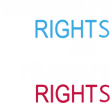 Discover Women's Rights are Human Rights Shirt