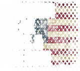 Discover Bourbon Steak Guns & Freedom USA Flag Whiskey Gift T-Shirt