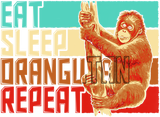 Discover Vintage Eat Sleep Repeat Orangutan T Shirt