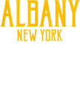 Discover Albany New York Vintage Text Amber T Shirt