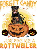 Discover Candy Pumpkin Rottweiler Dog T-Shirt