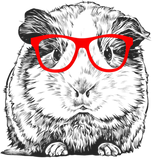 Discover Guinea Pig Shirt Red Glasses Hipster T-Shirt
