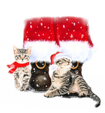 Discover Cats and Santa Claus for Cat lover Classic T-Shirt