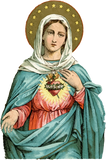Discover Immaculate Heart of Mary Our Blessed Mother Catholic Vintage T-Shirt