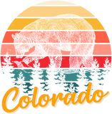 Discover Colorado Bear Retro Pride Vacation Travel Tourist Gift T-Shirt