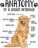 Discover Anatomy Golden Retriever Dog T Shirt