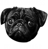 Discover Funny Pug Hello Darkness My Old Friend Hoodie