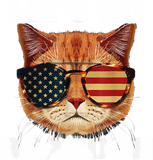 Discover Let's Go Brandon Cat US Sunglasses T-Shirt