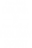Discover I'm Not Drunk I'm Full Of Holiday Spirit