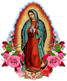 Discover Our Lady of Guadalupe Saint Virgin Mary T Shirt