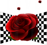 Discover Love Checkerboard Rose T Shirt
