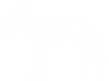 Discover Skeleton Dog T-Shirt