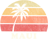 Discover Maui HI Vintage 70s Retro Throwback T-Shirt