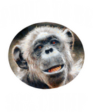 Discover Proud To Be 98% Chimp T Shirt