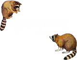Discover Raccoon Whisperer T-shirt