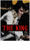 Discover The King Elvis Presley