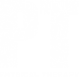 Discover Physical Therapist Physical Therapy T Shirt