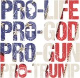 Discover Pro Life God Gun Trump USA Re-elect Donald Trump 2020 Gift T-Shirt