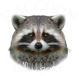 Discover Raccoon Whisperer T-Shirt