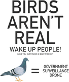 Discover Birds Are Not Real Bird Spies Conspiracy Theory Birds House Flags