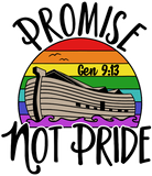 Discover Noah's Ark Genesis 9:13 Rainbow God's Promise Not Pride House Flag