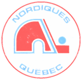 Discover Quebec Nordiques [Vintage Distressed] Classic  Kids Long Sleeve T-Shirts