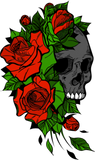 Discover Roses Paradise Street Skull