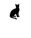 Discover Cute black cats