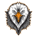 Discover American Eagle Head