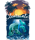Discover Clearwater Florida Shirt Manatee T Shirt