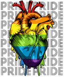 Discover LGBT Pirde Rainbow Anatomy Heart Gift