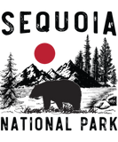Discover Vintage Sequoia National Park California Bear