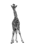 Discover Baby giraffe - ink illustration