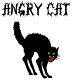 Discover Angry cat