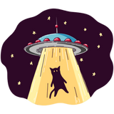 Discover UFO Cat