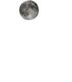 Discover Crypto Merch, Hodl Moon Cryptocurrency  T Shirt