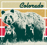 Discover Colorado Bear Family Retro