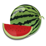 Discover Melon