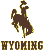 Discover Wyoming Cowboys Apparel MVP Wyoming Icon T Shirt