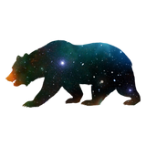 Discover bear universe