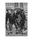 Discover Roller Skate Monkey Chimpanzee Vintage Chimp Funny Monkey Premium T-Shirt